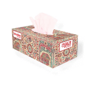Basundhar tissue Box