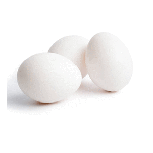 Chicken Egg 8 pcs White